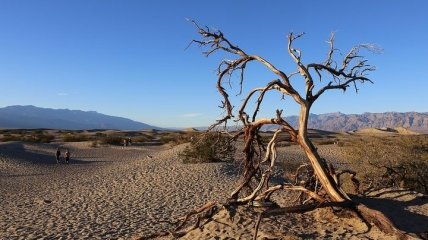 Может быть еще выше: Долина Смерти в США прогрелась до 54,4 °C