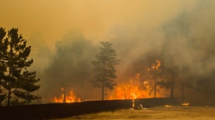 Из-за лесных пожаров на западе Канады эвакуируют население