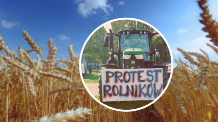 Фермери в ЄС протестують через те, що українське збіжжя обвалило ціни