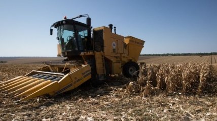 Украинские компании получили лицензии на экспорт кукурузы 