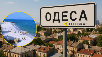 Морські жителі там зʼявились через негоду