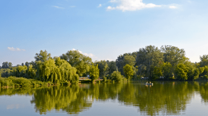 Став на річці Стугна