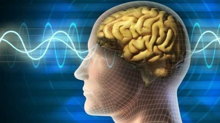 Ученым удалось расширить возможности памяти человека с помощью импланта
