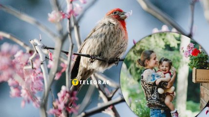 В праздник особо почитают птиц