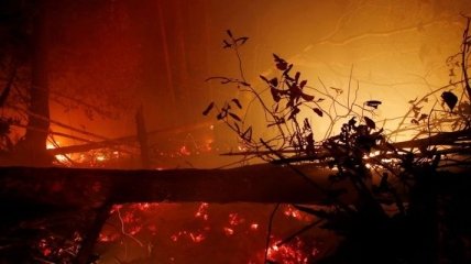 В Грузии начались лесные пожары