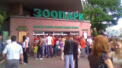 Сегодня в Киевском зоопарке пройдет День открытых дверей