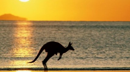 Сегодня День Австралии - главный праздник австралийцев