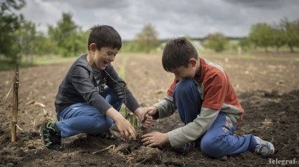 ООН приняла резолюцию по инициативе Украины