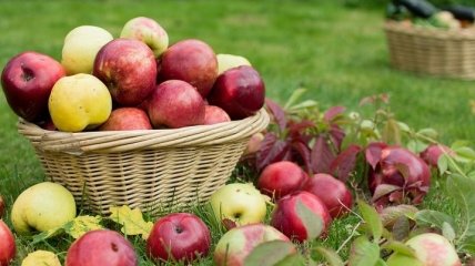 Укрепит сердце и сосуды: польза яблок для организма