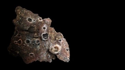 В пустыне Сахара найден марсианский метеорит
