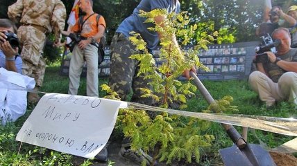 Дерево мира посадили на Майдане 