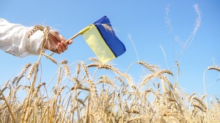 Когда празднуют День Независимости Украины 2015