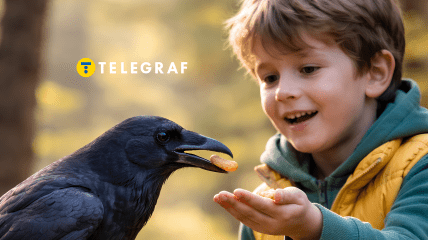 Ворона и ребенок