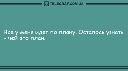 Ударная доза положительных эмоций: юморные анекдоты на утро 