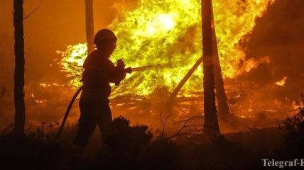 Неуклонно растет число пострадавших от лесного пожара в Португалии