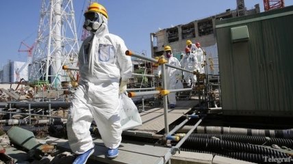 На "Фукусиме-1" произошел сбой из-за крыс 