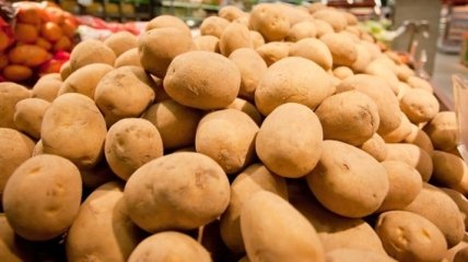 Азаров: Картофель "не будет стоить 20 грн"