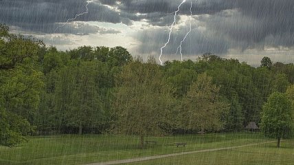 Дожди не отступают: в Украине прогнозируют грозы и шквальный ветер, на западе - сильные ливни