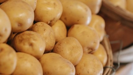 Чим удобрити картоплю у липні