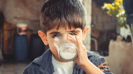 Непереносимость лактозы: почему некоторые люди не воспринимают молоко и что с этим делать