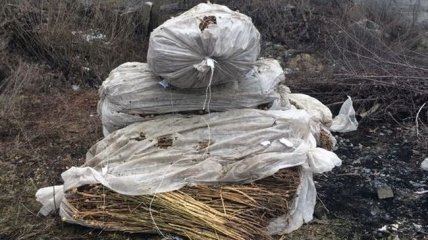 В Житомирской области сожгли наркотиков на полмиллиона гривен