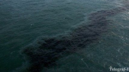 В Черное море вылилась нефть