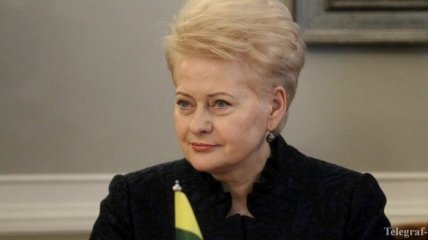Президент Литвы не смогла прилететь в Ригу
