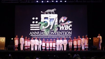 Украинская делегация не посетит конгресс WBC: названа причина