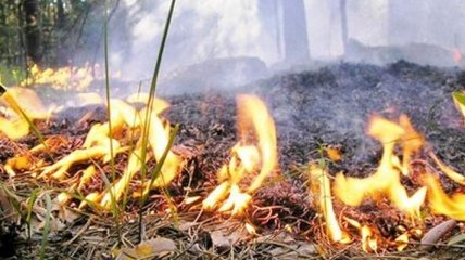  Украинцев предупреждают о высокой пожарной опасности