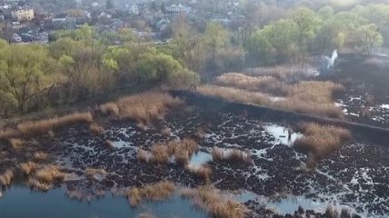 Беспилотник заснял кадры последствий пожара на Совских прудах в Киеве (Видео)
