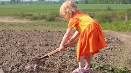 Депутаты заострили внимание на трудовом воспитании детей