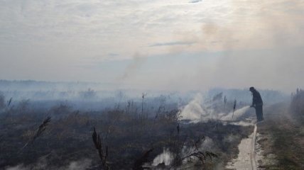 Внимание: из-за пожаров вокруг Киева в воздухе токсичные вещества!