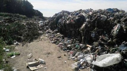 В Херсоне жители потерпают от вони, в городе на километр разбросали мусор