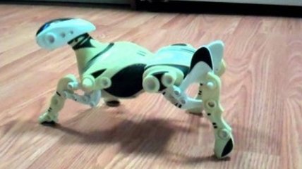 Создан робот-чихуахуа специально для модных девушек