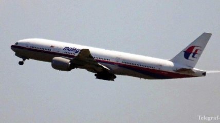Минобороны Малайзии не располагает подтверждениями, что лайнер был сбит
