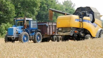 Украина вошла в тройку крупнейших экспортеров агропродукции в ЕС 