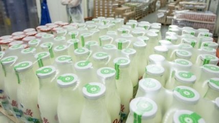 "Молочная" реформа: лишат ли селян возможности продавать молоко?
