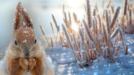 Погода в Україні наприкінці січня