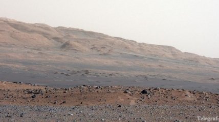 Американец Деннис Тито приглашает на экскурсию к Марсу.
