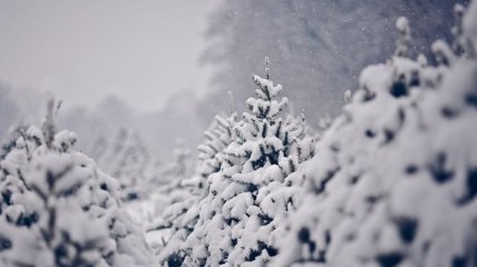 Украину в ближайшее время засыплет снегом