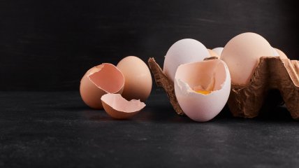 Яєчна шкаралупа – помічник досвідчених дачників