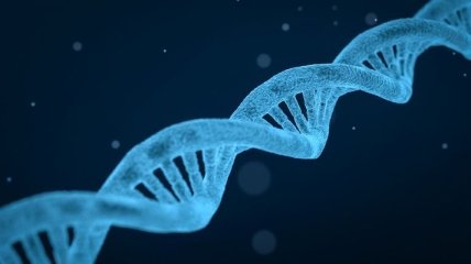 Ученые нашли возрастные различия в фрагментах ДНК в крови