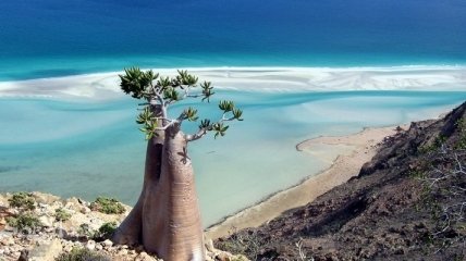 Сокотра: Уникальная природа и сказочные пейзажи "острова счастья" (Фото)