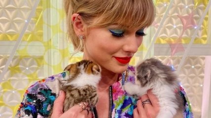 Тейлор Свифт не перестает удивлять: выпущен нежный сингл к предстоящему мюзиклу "Кошки" (Видео)