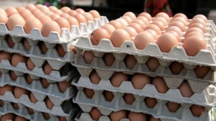 Украине разрешили экспортировать в ЕС яйца и куриное мясо