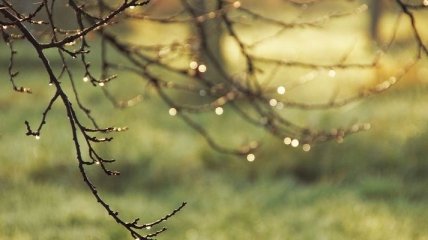 На Украину обрушится шторм: прогноз погоды на 13 октября