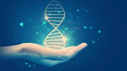 В клетках человека выявили необычные структуры ДНК