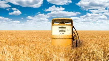 Биотоплива в Украине станут производить больше