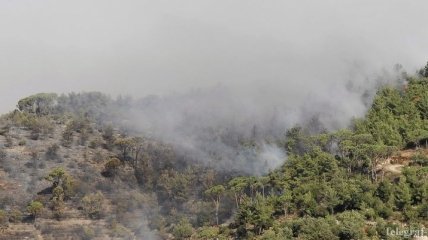 В Ливане уже четвертый день бушуют лесные пожары