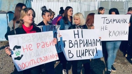 "Животные - не клоуны": черновицкие активисты провели акцию против цирка-шапито